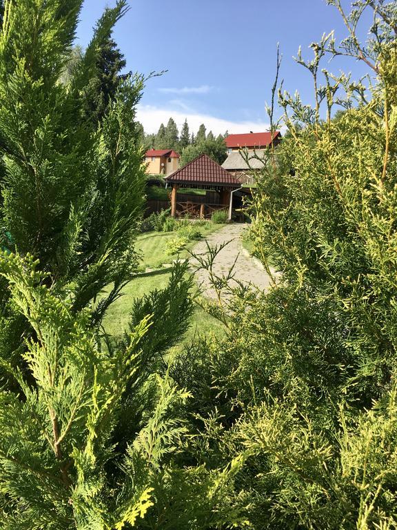 Girska Khatynka Slavske Exteriör bild